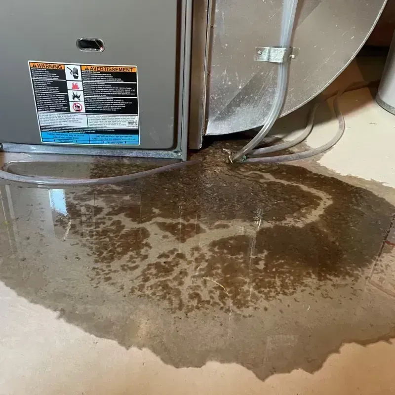 Appliance Leak Cleanup in Basalt, CO